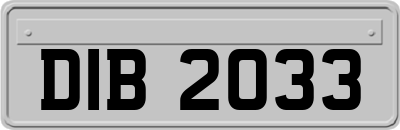 DIB2033