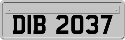 DIB2037