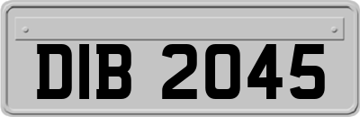 DIB2045