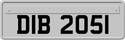 DIB2051