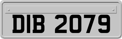 DIB2079