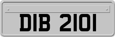 DIB2101