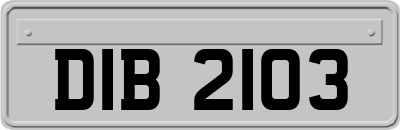 DIB2103