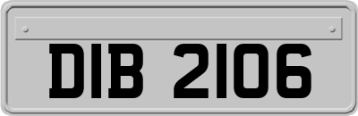 DIB2106
