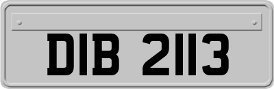 DIB2113