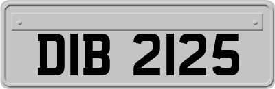 DIB2125