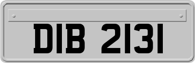 DIB2131