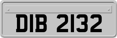 DIB2132