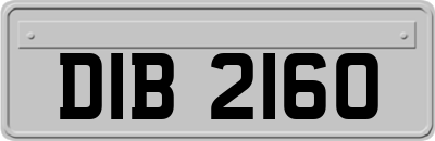 DIB2160