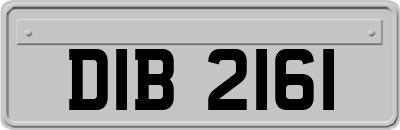 DIB2161