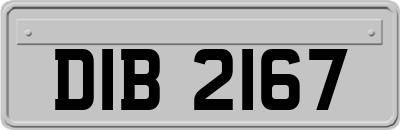 DIB2167
