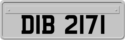 DIB2171