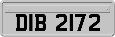 DIB2172