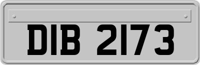 DIB2173