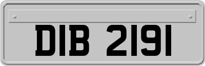 DIB2191