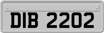 DIB2202