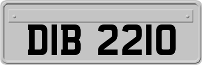 DIB2210