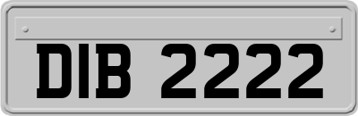 DIB2222