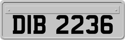 DIB2236