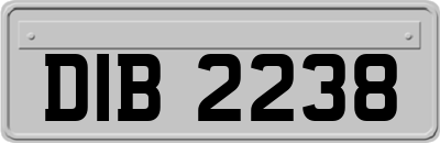 DIB2238