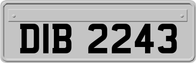 DIB2243