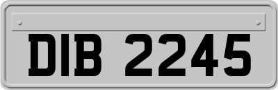 DIB2245
