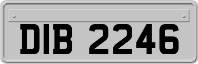 DIB2246