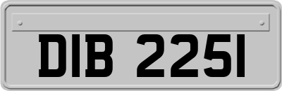 DIB2251