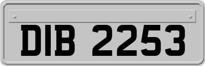 DIB2253