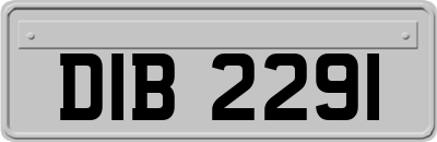 DIB2291