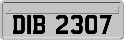 DIB2307