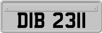 DIB2311
