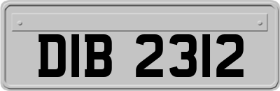 DIB2312