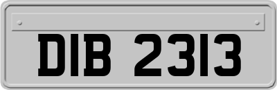 DIB2313