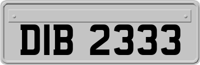 DIB2333
