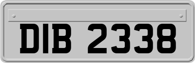 DIB2338