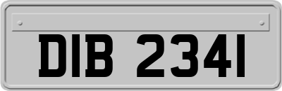 DIB2341