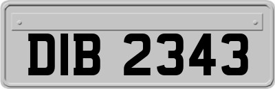 DIB2343