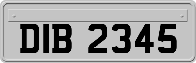 DIB2345