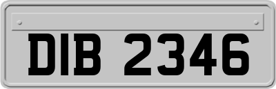 DIB2346