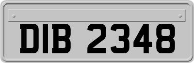 DIB2348