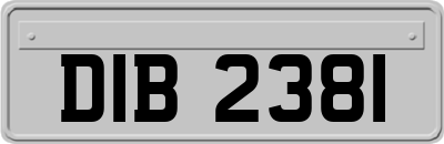 DIB2381