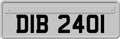 DIB2401