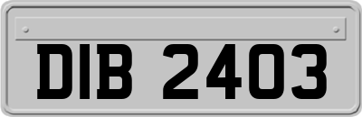 DIB2403