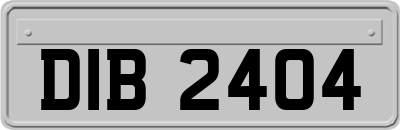 DIB2404