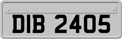 DIB2405