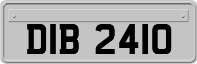DIB2410