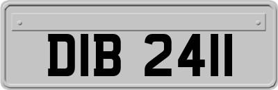 DIB2411