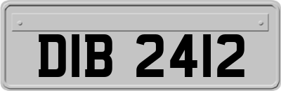 DIB2412