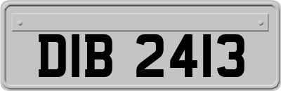 DIB2413